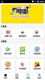 猫咪视频官网app,解锁萌宠世界，畅享欢乐时光