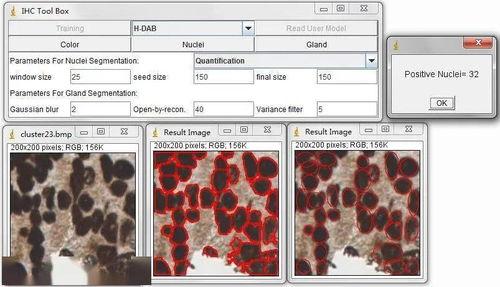 细胞计数视频,探索微观世界的奥秘之旅