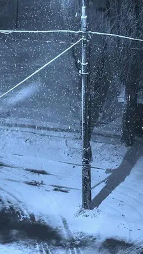 高清下雪视频,高清下雪视频捕捉雪景之美