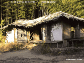 突然吓人的动态视频,揭秘动态视频中的心跳加速时刻